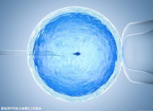 私人孕妈供卵代怀服务选性别